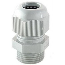 10000800, Cable Gland, 22 ... 32mm, PG36, Polyamide, Light Grey